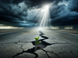 How to Develop Resilience in the Face of Adversity